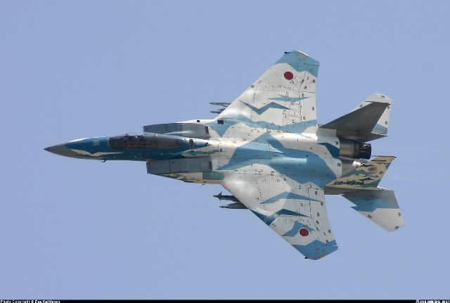 07f15c4cc3c71ebec8d6.jpg