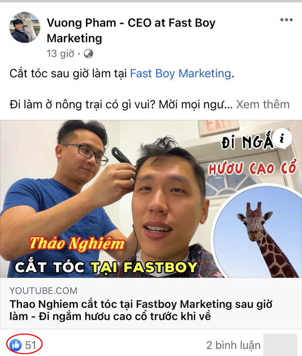 084e1d836bfcec0381de.jpg