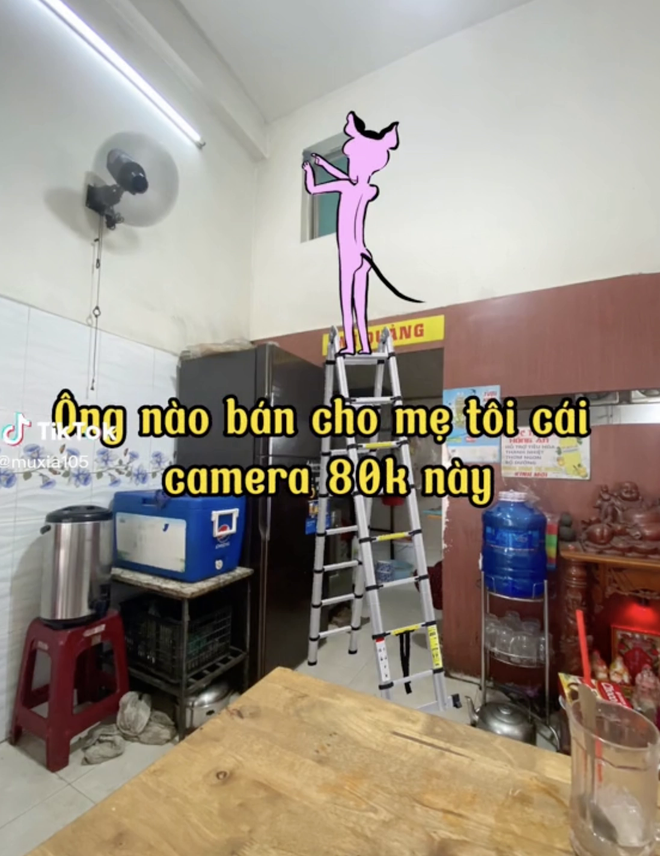 0855eb2ffedf7a7a2fb1.png