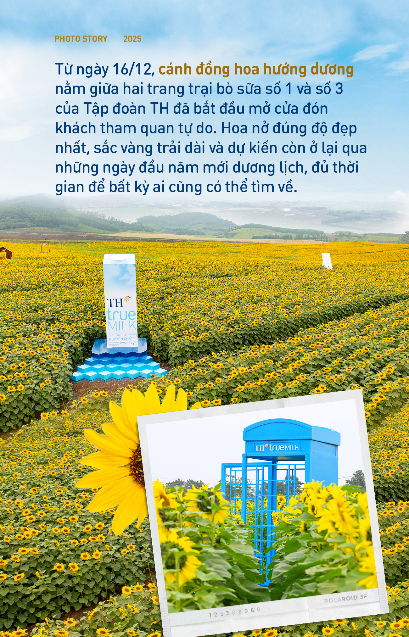 08622a62ece75366c54b.png