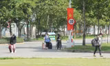 08684199406ec249cf2e.jpg