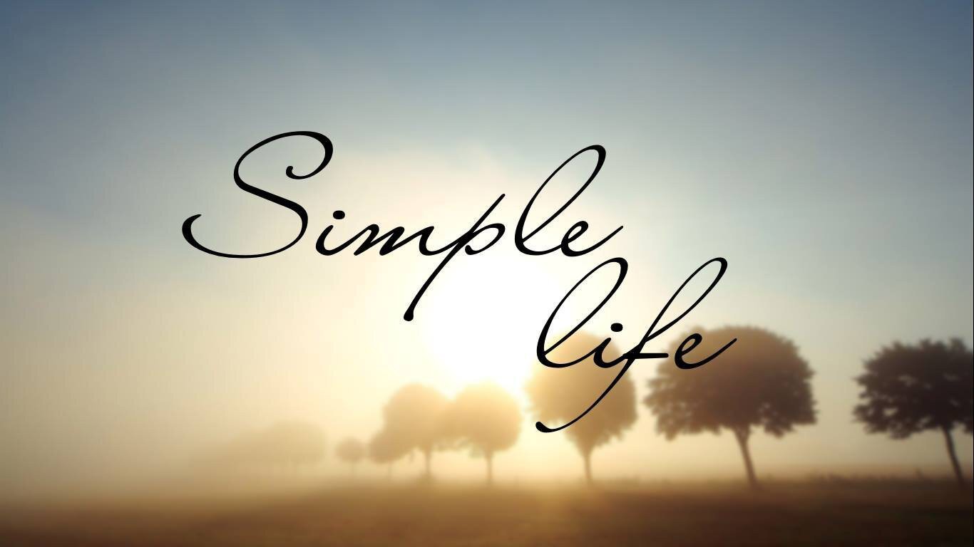 089f97482e4de9e13f3c.jpg