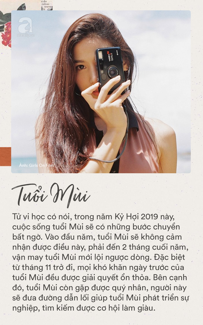 08a08ab8878d75049e19.png