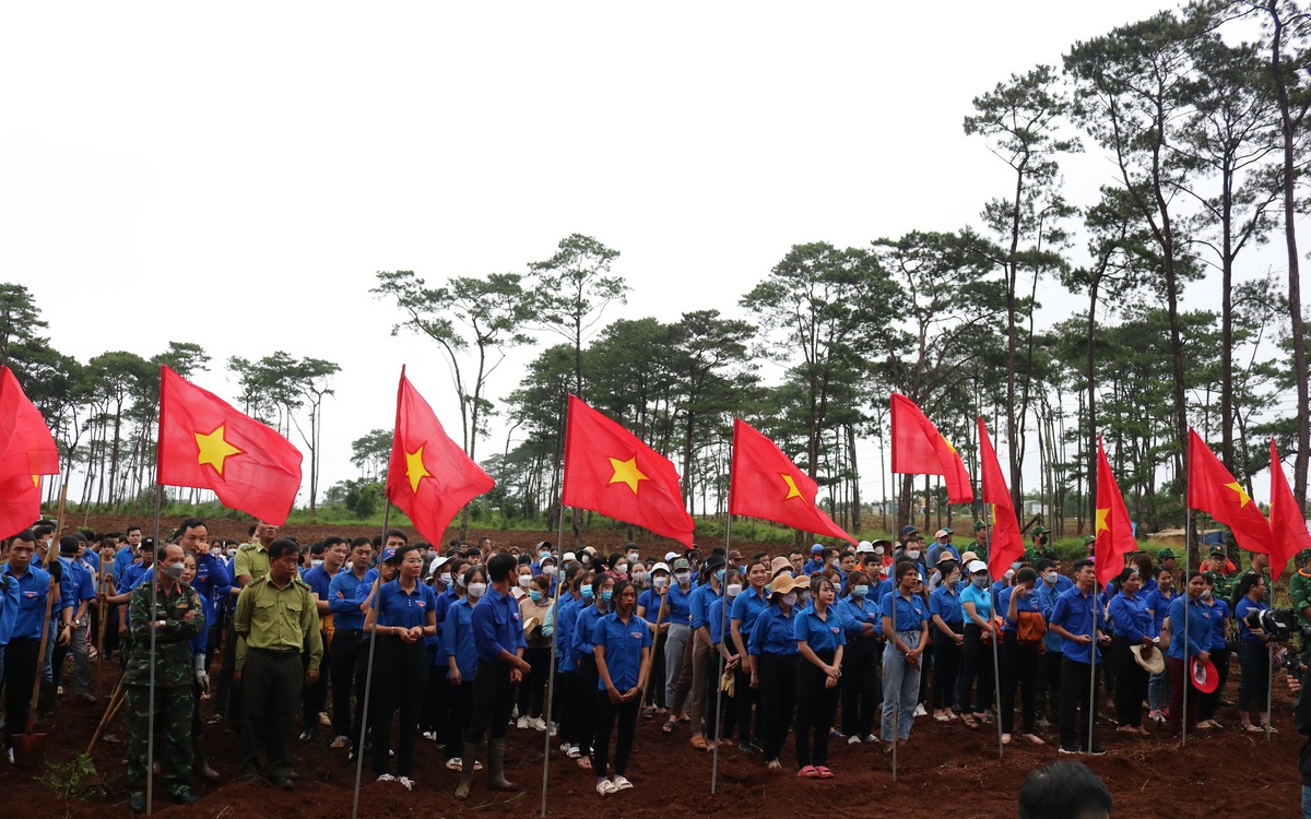 08d0bc84cada90ee60c9.jpg