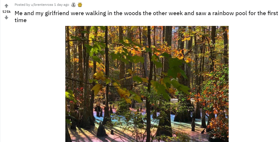 08ec5e695cb065c2cce9.png