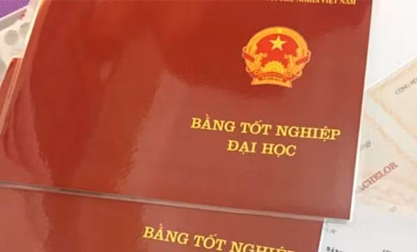 090c2ffec867951224cd.jpg