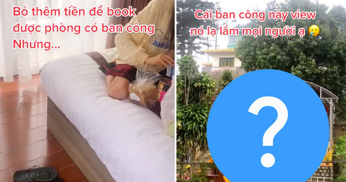 09282dcc052206884d92.jpg