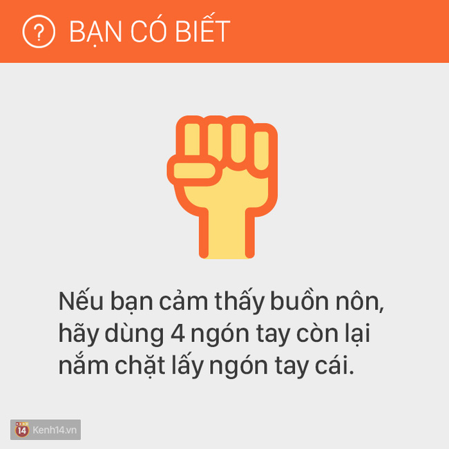 092bb08e6823e539bdd8.jpg