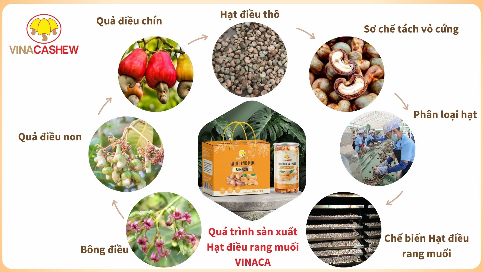 093e67feed241a5b8d18.jpg