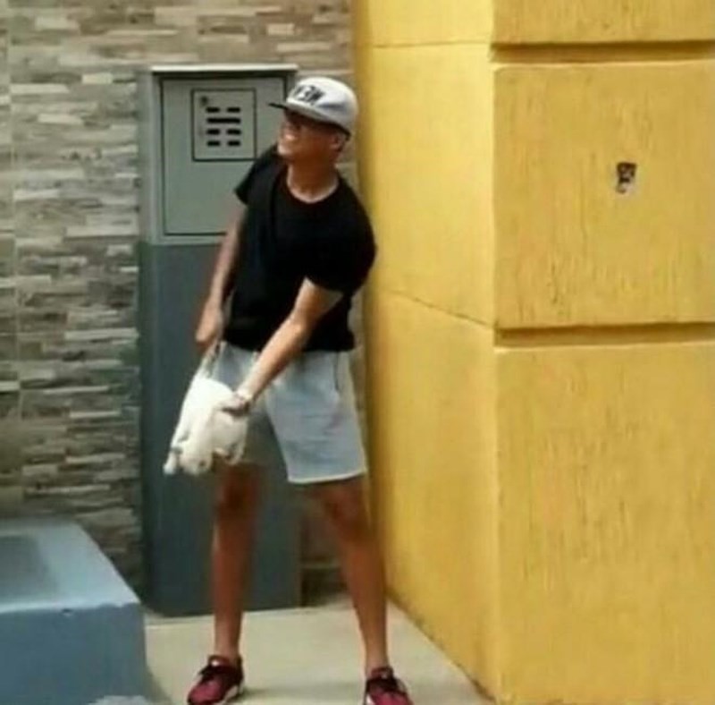 09659828684fff3c225b.jpg