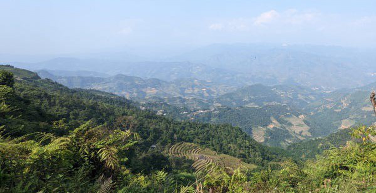 096d99f05889eb4df0ab.jpg