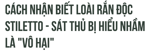 097008724eeaf04aec9b.png