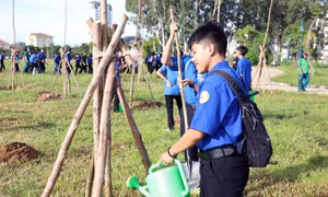 0999ab1a779a6aaef271.jpg
