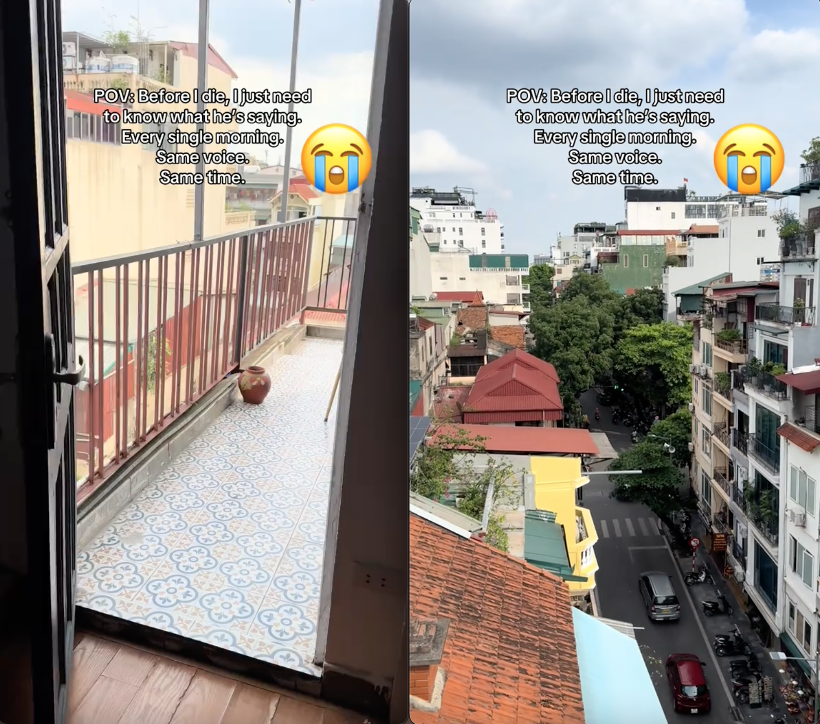 Cô gái Tây quyết tâm tìm ra "âm thanh bí ẩn" đánh thức mỗi sáng trước khi "về với tổ tiên"