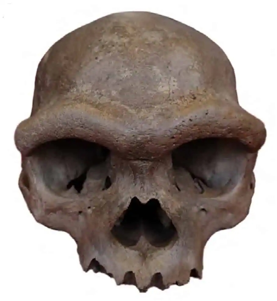 09c274c74c4d35b549b8.jpg