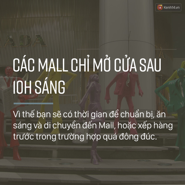 09c90c2c496cc3000830.jpg