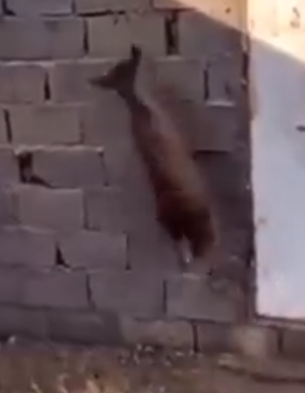 0a577d45081fbdeaf2f7.png