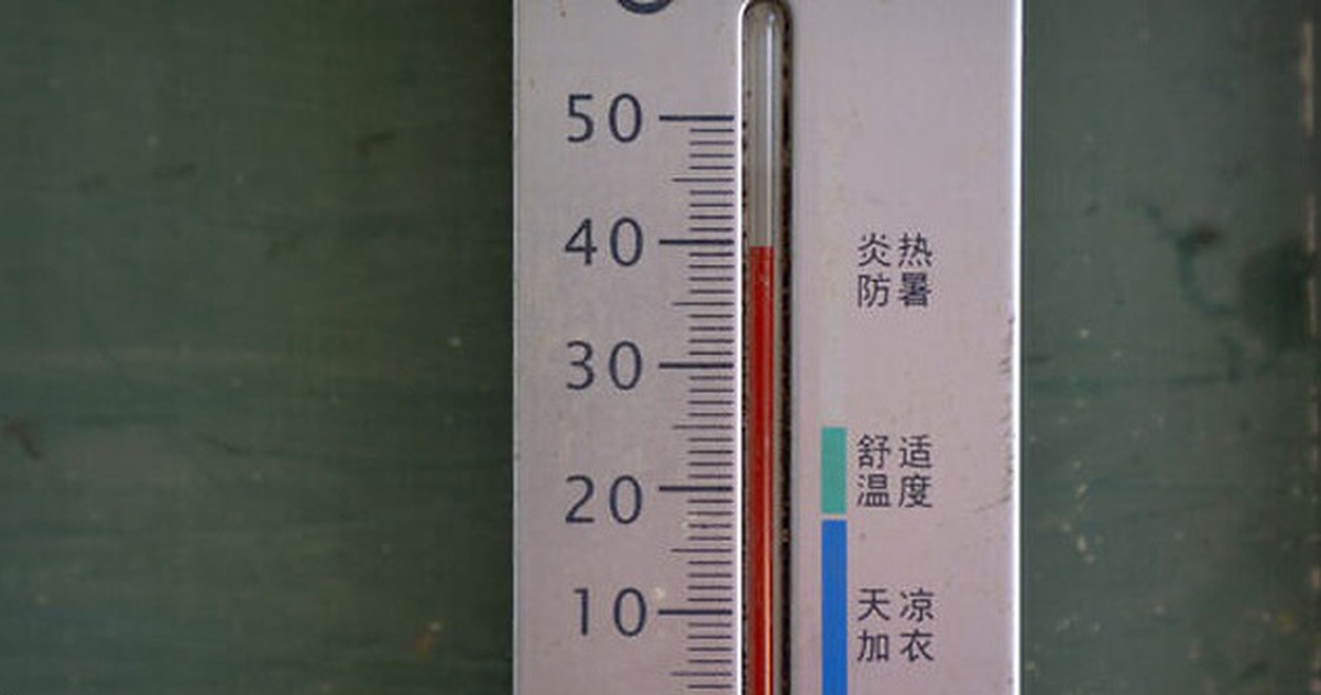 0a5f00edf4159bb6348e.jpg