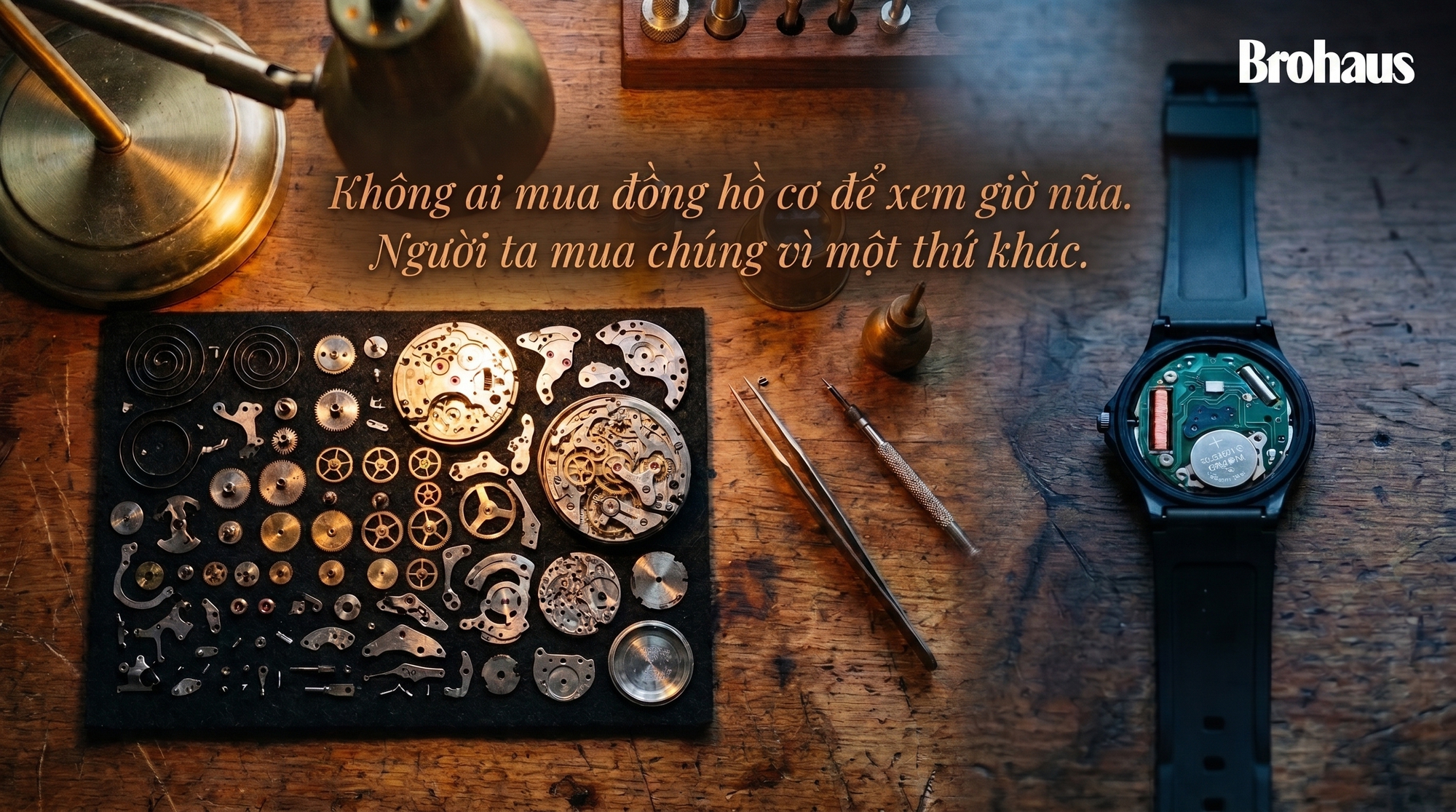 0a72697f5edb28143e61.jpg