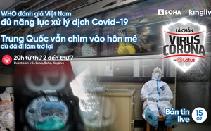 0aa8bda654264ecf6369.jpg