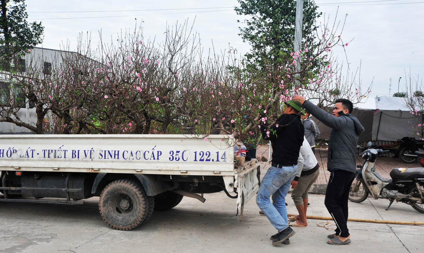 0aadc94a840f1d31f721.jpg