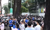 0aef5df29f10ded3195e.jpg