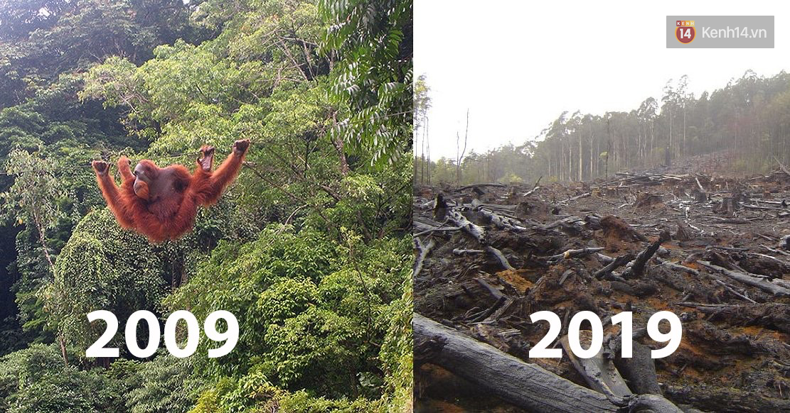 0af139f9bf58d43d4a55.png