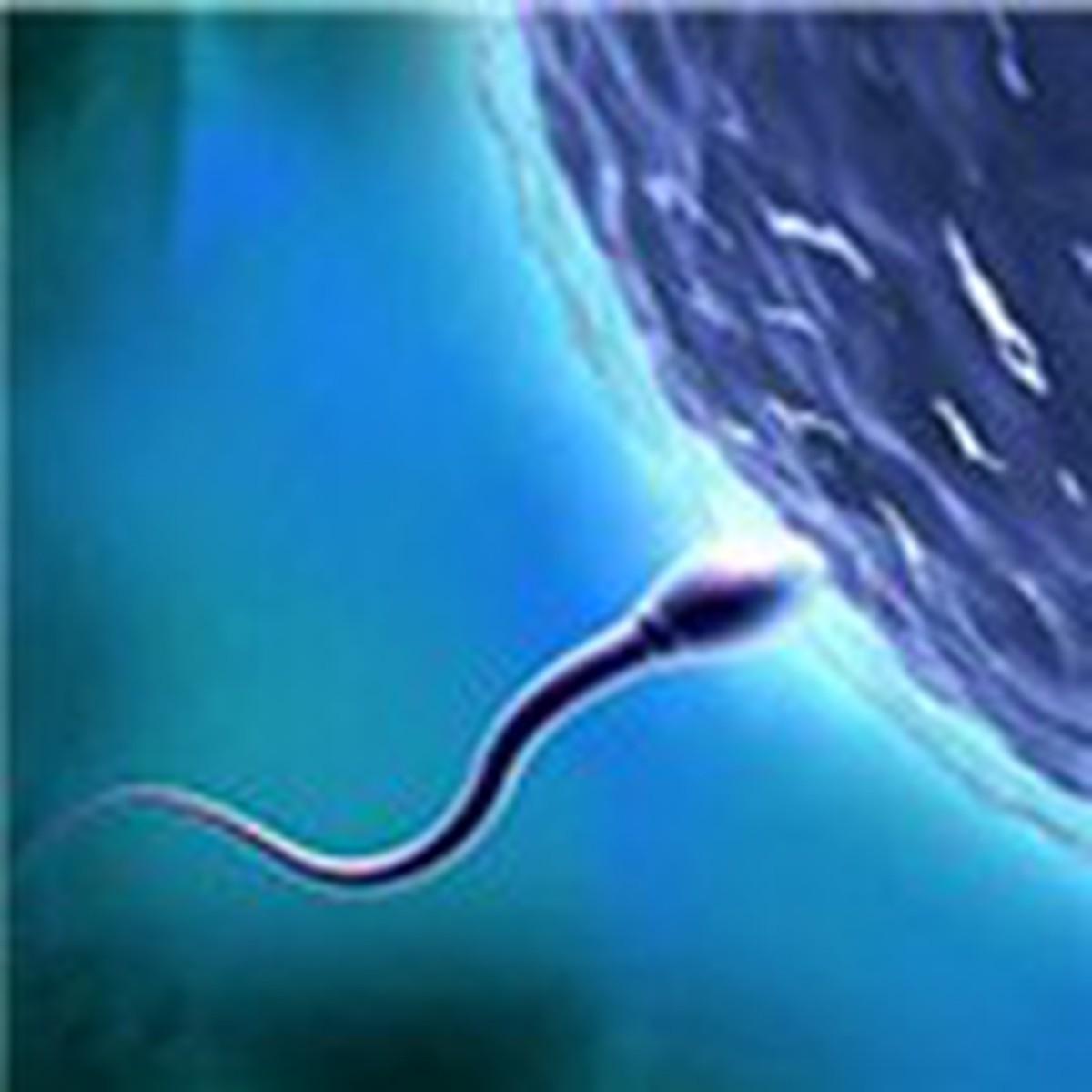 0af42d7de1c54ebe4d04.jpg