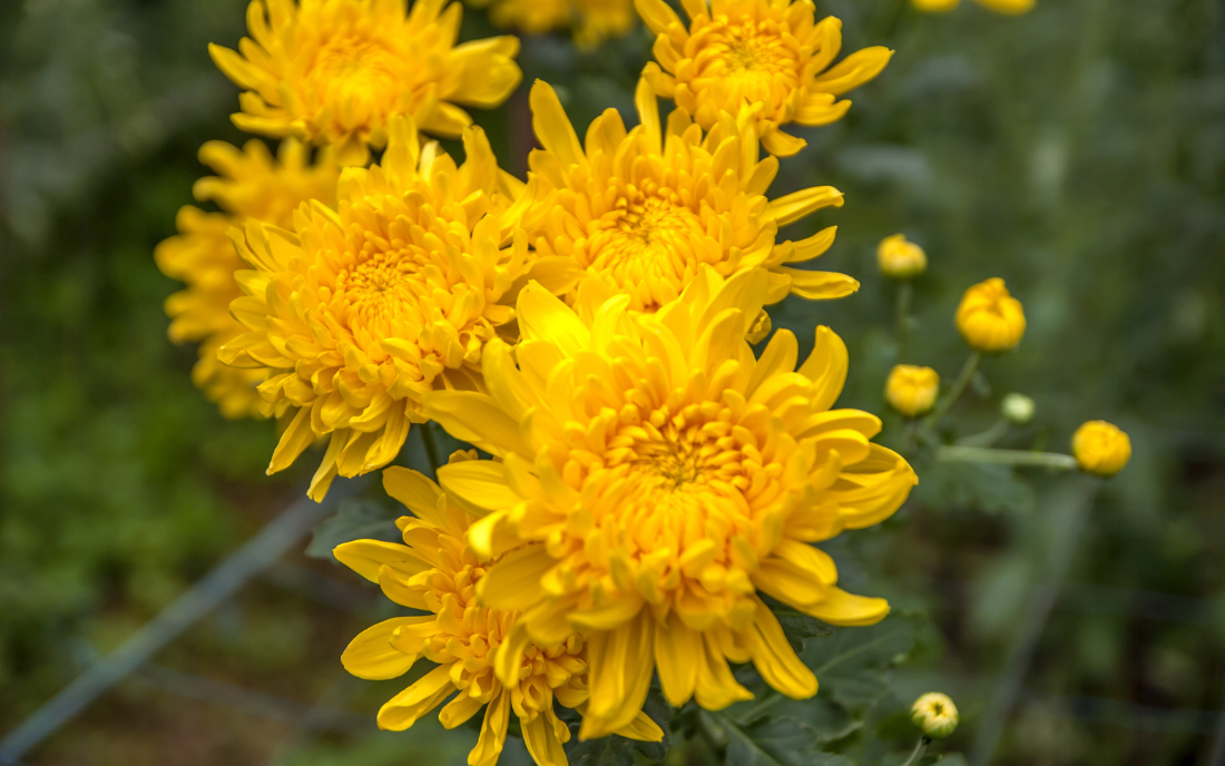 0b0681a9770f2261ccb3.png