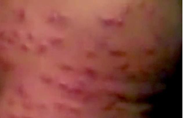 0b0ca1e97d834de95876.jpg