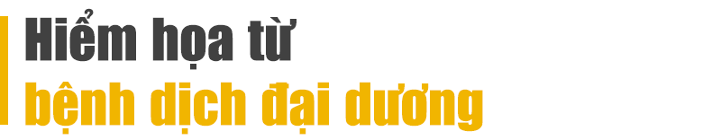 0b1a000207cc18091e76.png