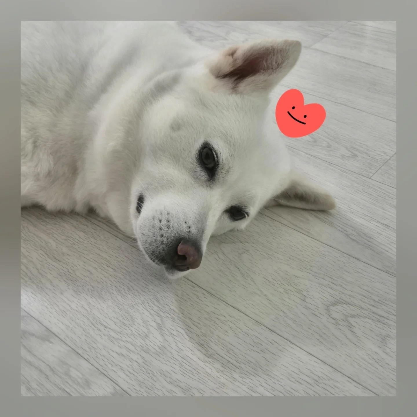 0b271cf263e0926ab7a8.png