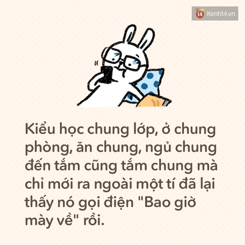 0b32786e0a1c2028684b.png
