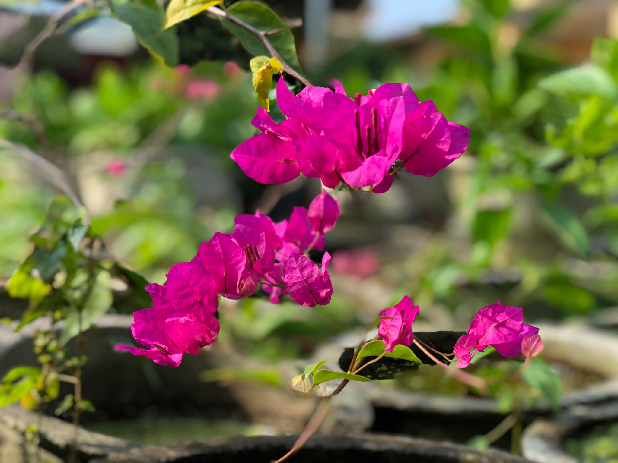 0b770e194e3098515850.jpg