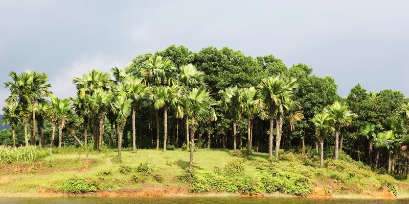 0baf2f19cc7970c58c78.jpg