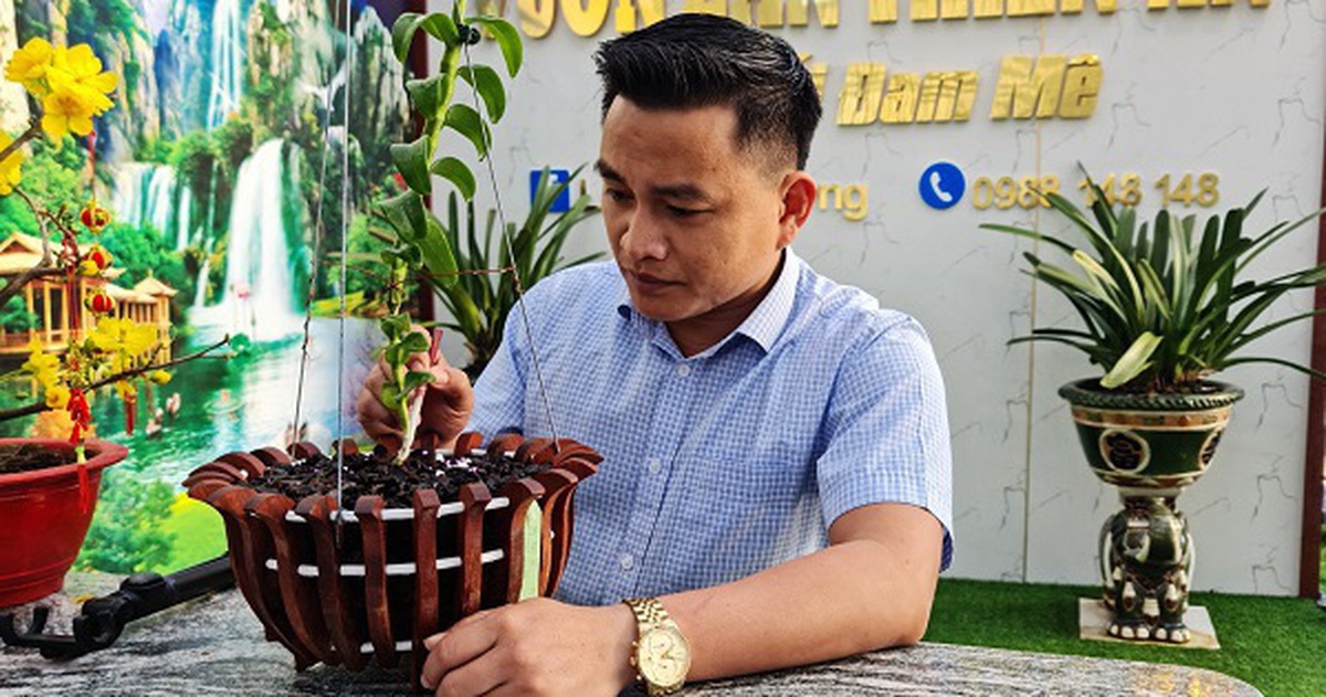 0bc360fd4abef13a80c2.jpg
