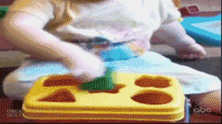 0bc4fc8047c077dcd48f.jpg