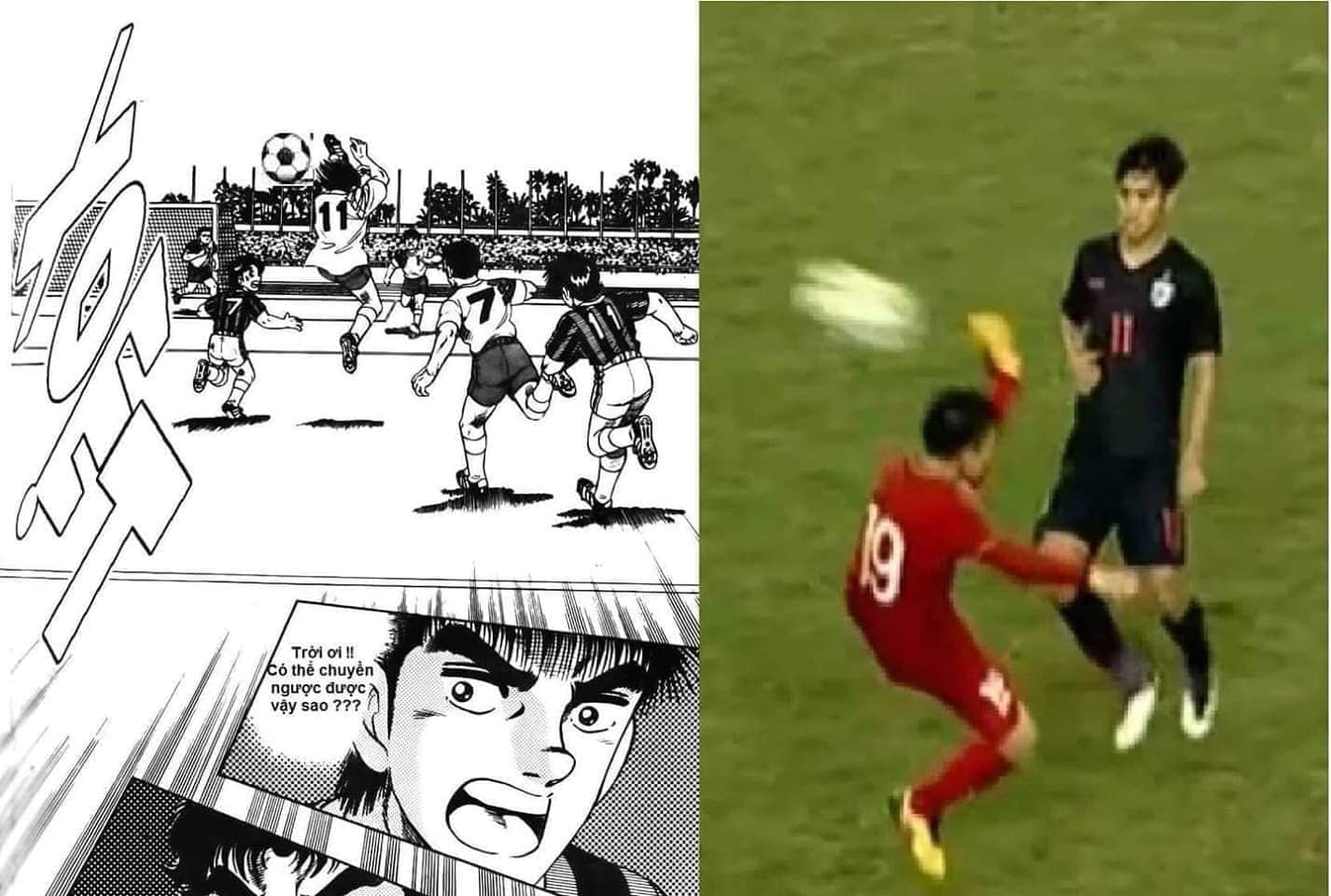 0bd209148ed518d353c9.png