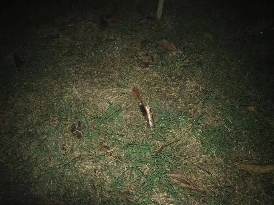 0c0006eb00fa8938c89f.jpg
