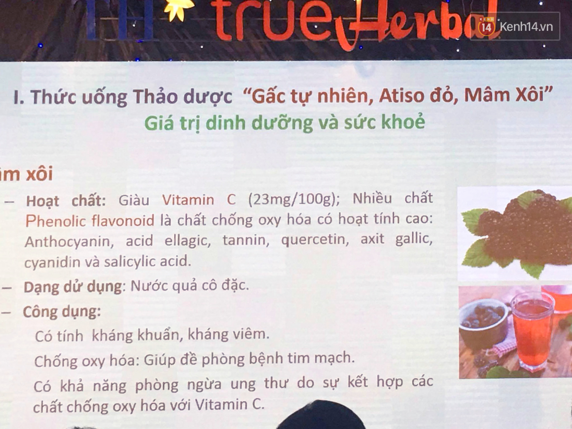 0c06fe76e859ecdbff96.jpg