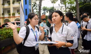 0c15de54cb0ffd5a6bc4.jpg
