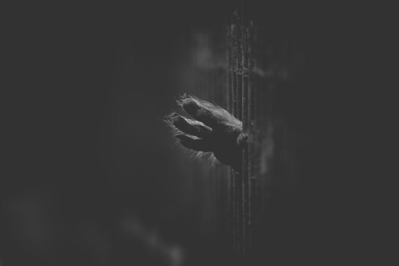 0c2ec890e6d5ce16f060.jpg