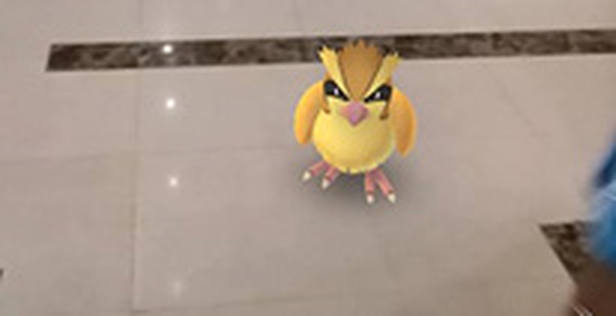 0c3a043be1d464007b8c.jpg