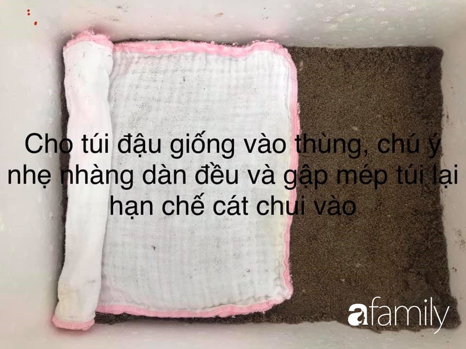 0c59efee72c33002f919.jpg