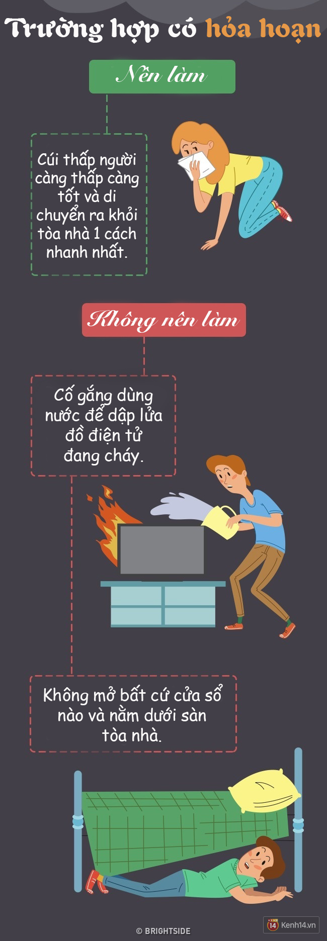 0c7b50079fe135d61b6b.jpg