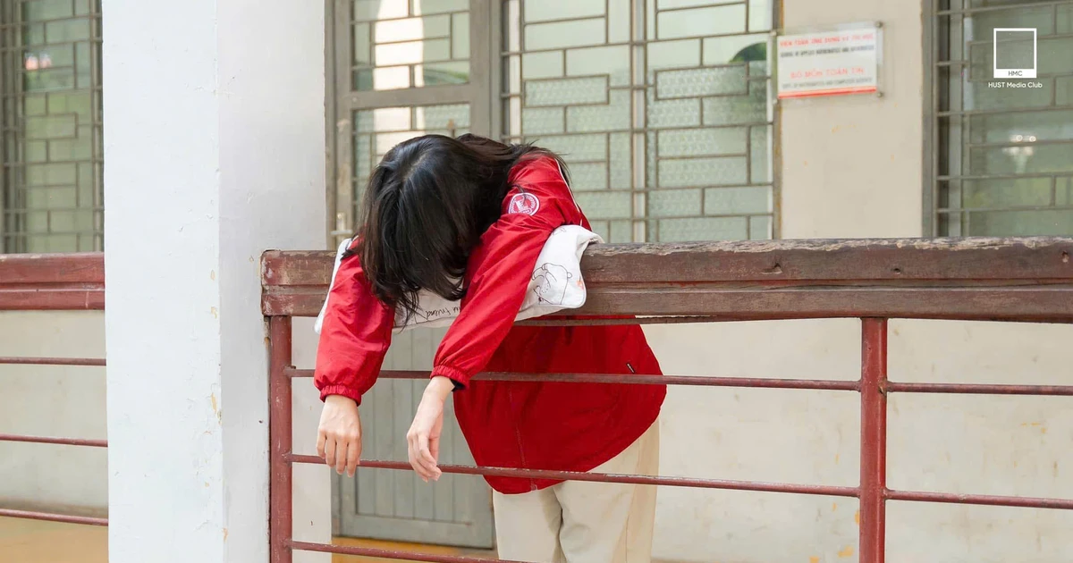 Sinh viên IT trước 'cơn bão' AI – làm chủ công nghệ hay trở thành 'người thừa'?