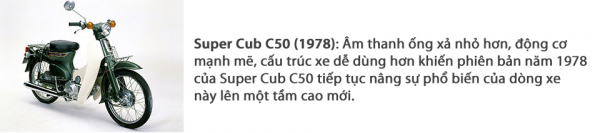 0c903bcfd46a44e58404.png