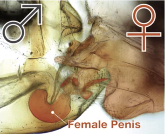 0c9e8e6cafa049030523.jpg