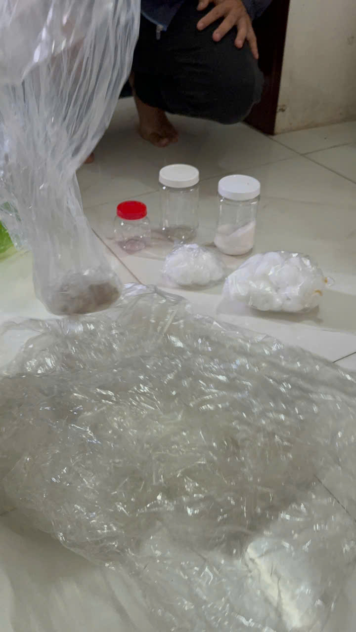 0cb02af58bf0466471e5.jpg