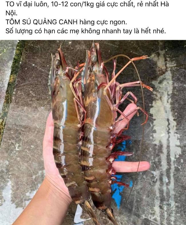 0cc0319f08871ed57ab7.jpg